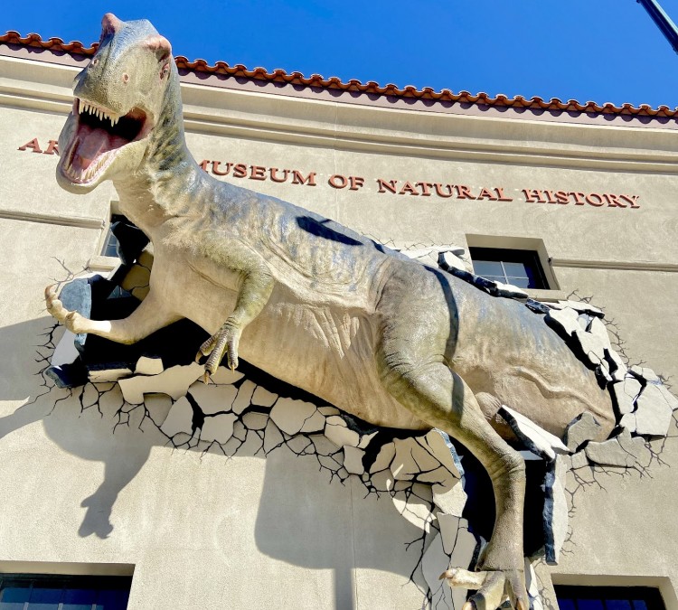 arizona-museum-of-natural-history-photo